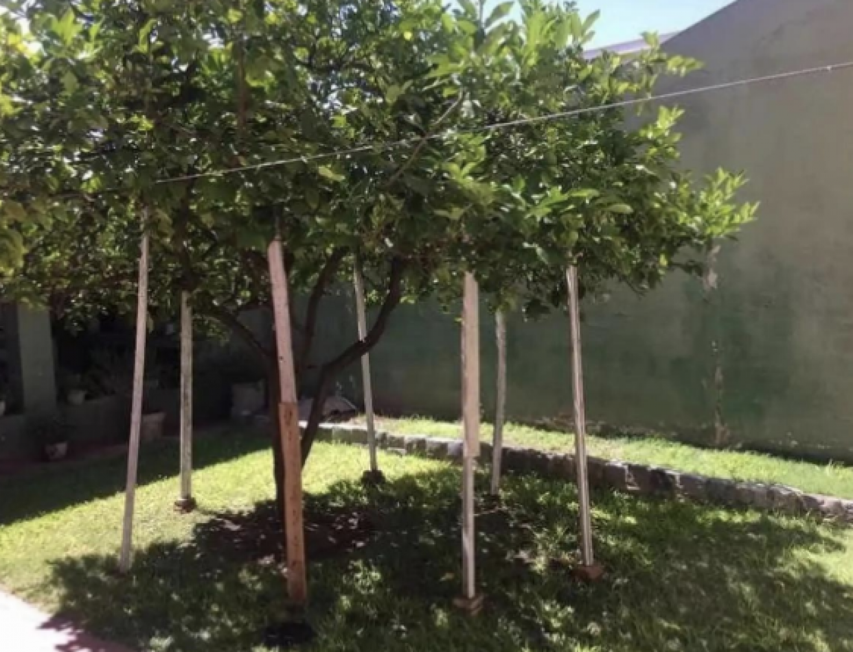 Oportunidad en Venta - PH 3 Ambientes con Patio y Apto Credito