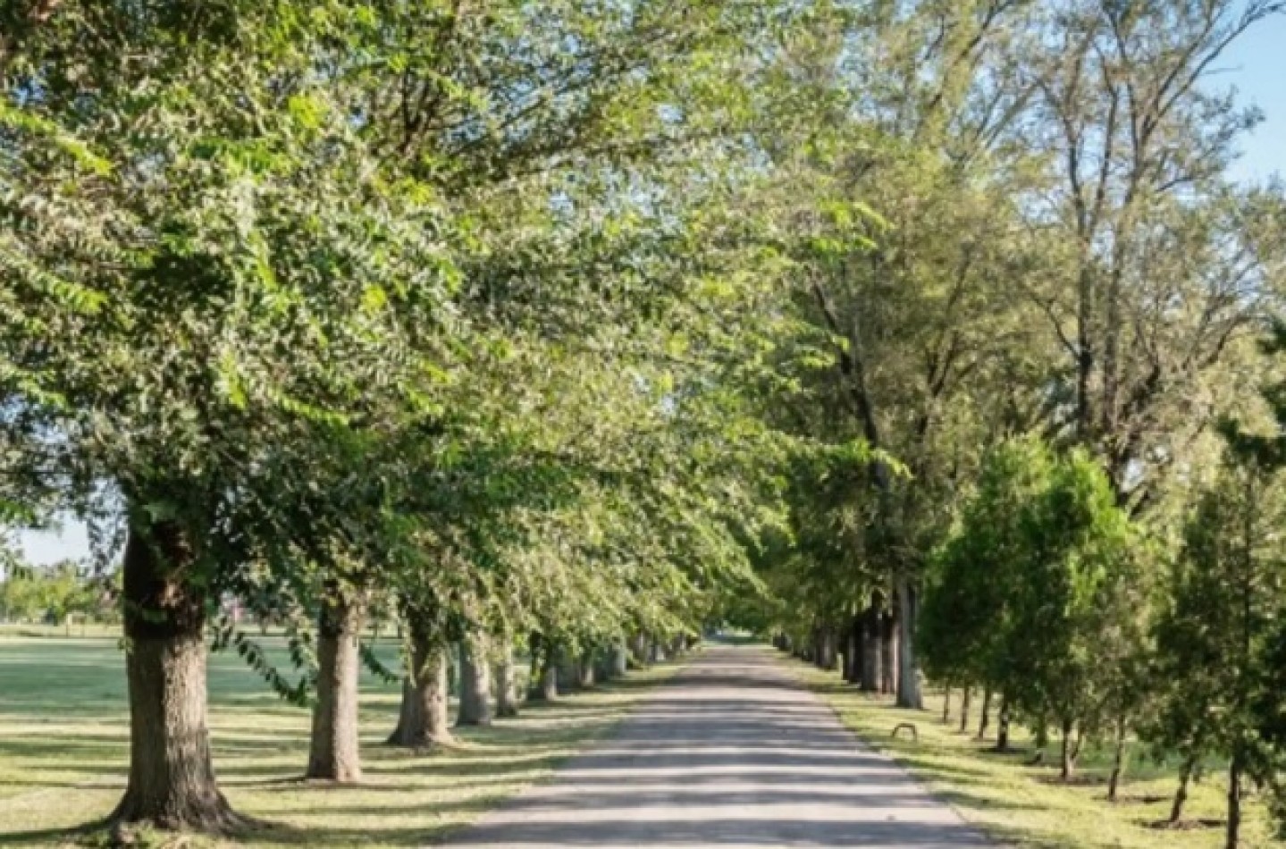 Lote Terreno venta En La Magdalena - Sector Historico