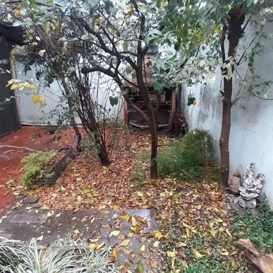 Venta Casa A Reciclar 5 Ambientes Cochera Patio Terraza Lote Propio