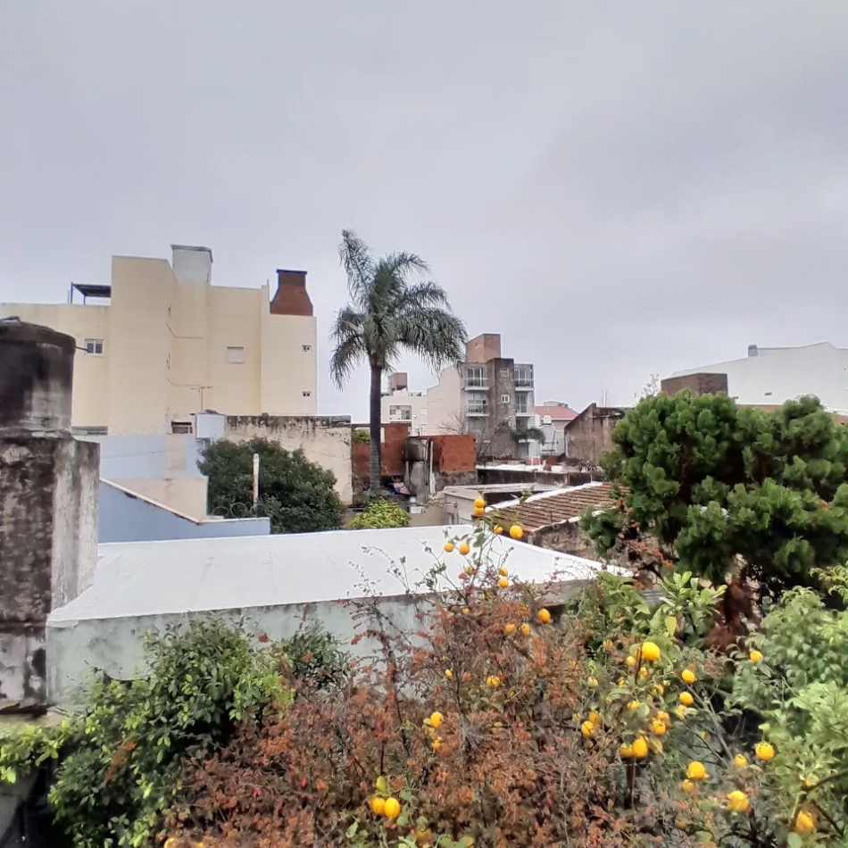 Venta Casa A Reciclar 5 Ambientes Cochera Patio Terraza Lote Propio